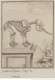 Figures pour l'histoire des quadrup&egrave;des, par M. de Buffon. Tome IV&nbsp;: Squelette d'Elephant (17..) - Source&nbsp;: Gallica